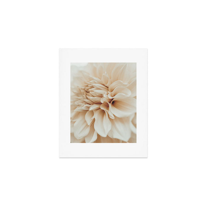 Innocence  Modern Blush White Botanical Dahlia flower photograph Art Print Gallery Image 1