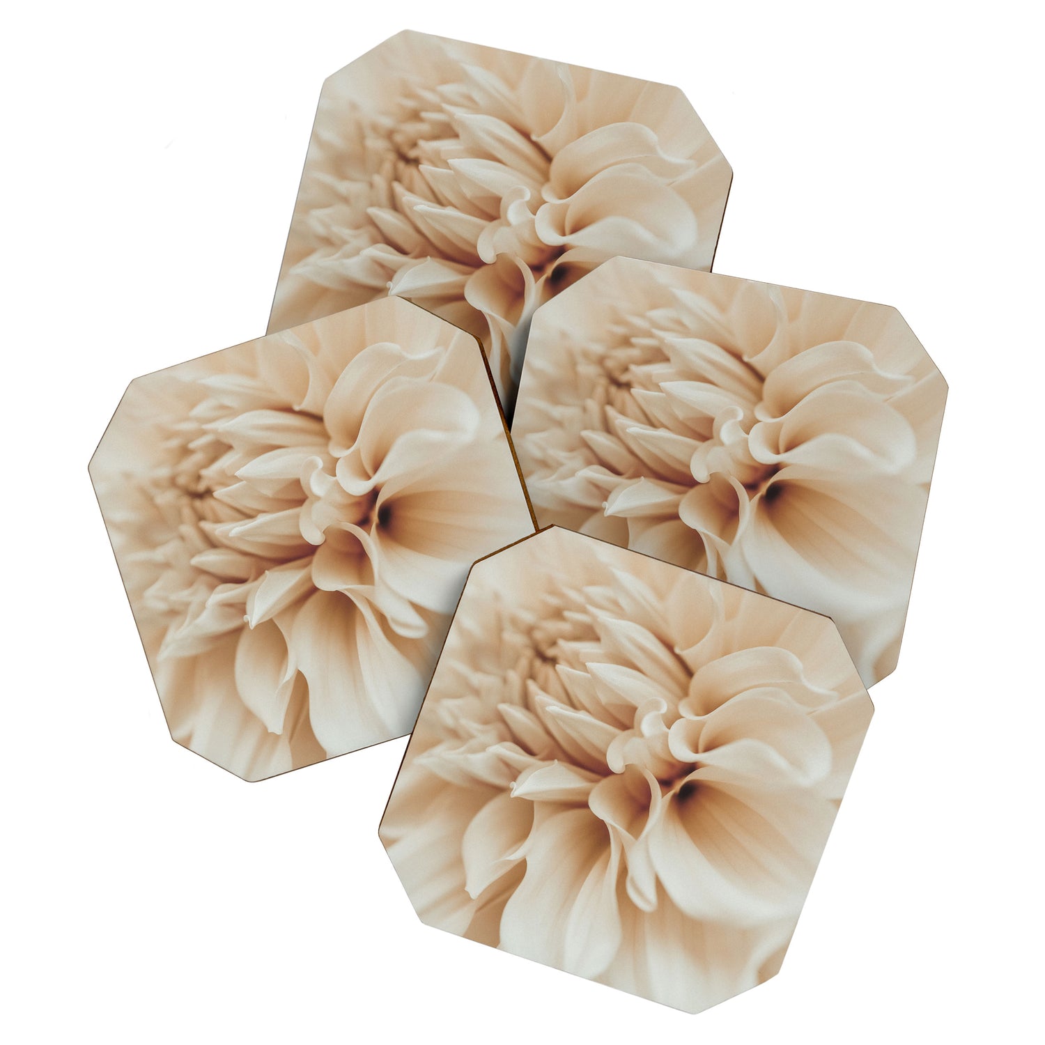 Innocence  Modern Blush White Botanical Dahlia flower photograph Coaster Gallery Image 1