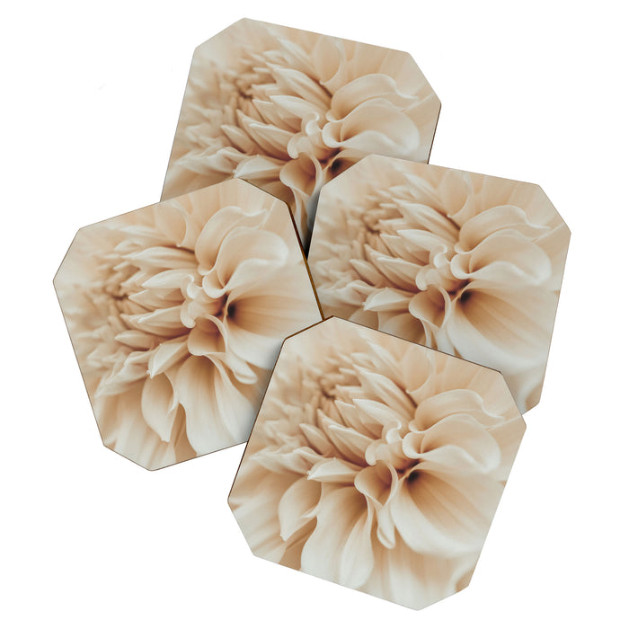 Innocence  Modern Blush White Botanical Dahlia flower photograph Coaster Gallery Image 1