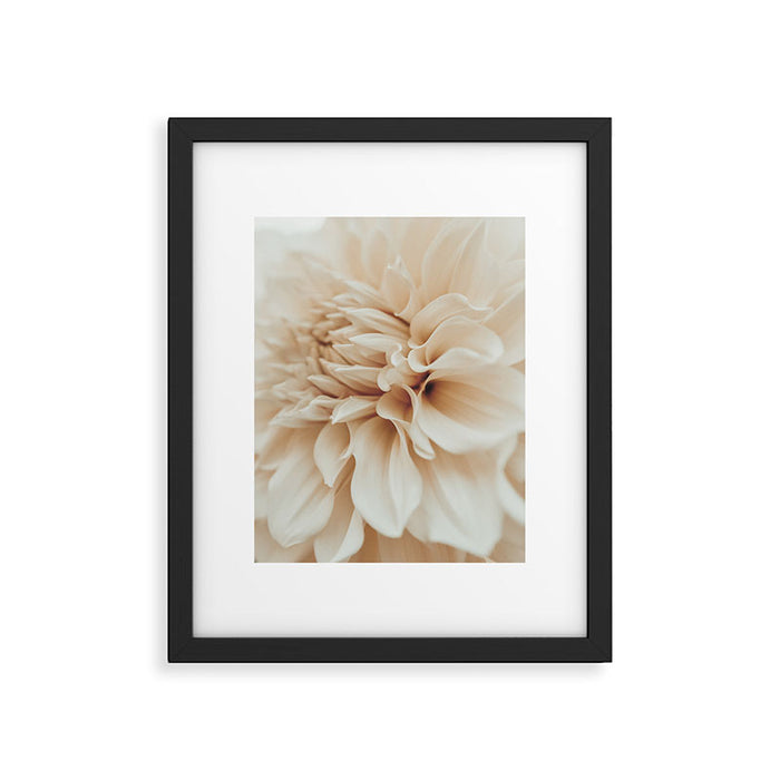 Innocence  Modern Blush White Botanical Dahlia flower photograph Framed Art Print Gallery Image 1
