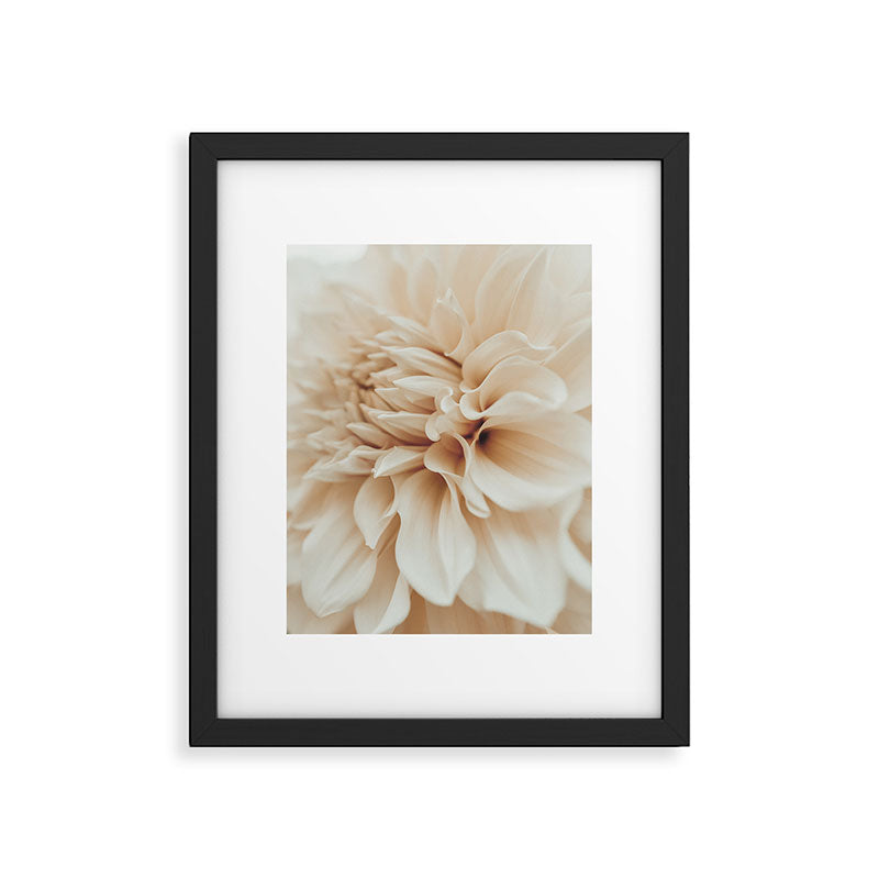 Innocence  Modern Blush White Botanical Dahlia flower photograph Framed Art Print Gallery Image 5