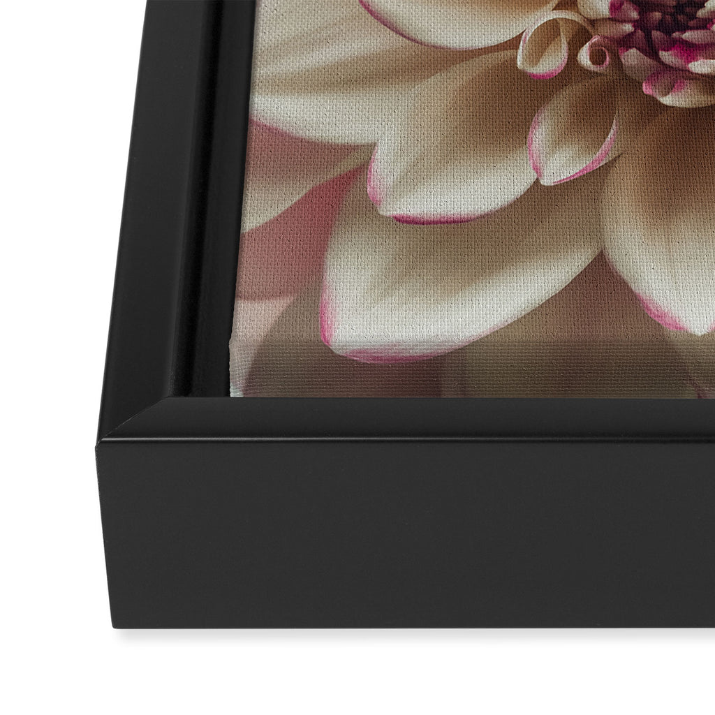 Intrepid x white dahlia flower photograph Framed Canvas Print Gallery Image 3