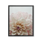 Intrepid x white dahlia flower photograph Framed Canvas Print Gallery Image 6