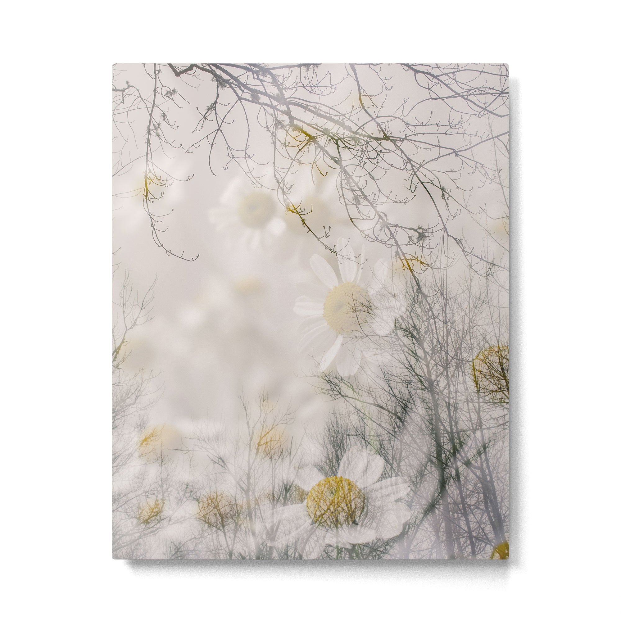 Invocation - double exposure nature botanical photograph Metal Print Gallery Image 4