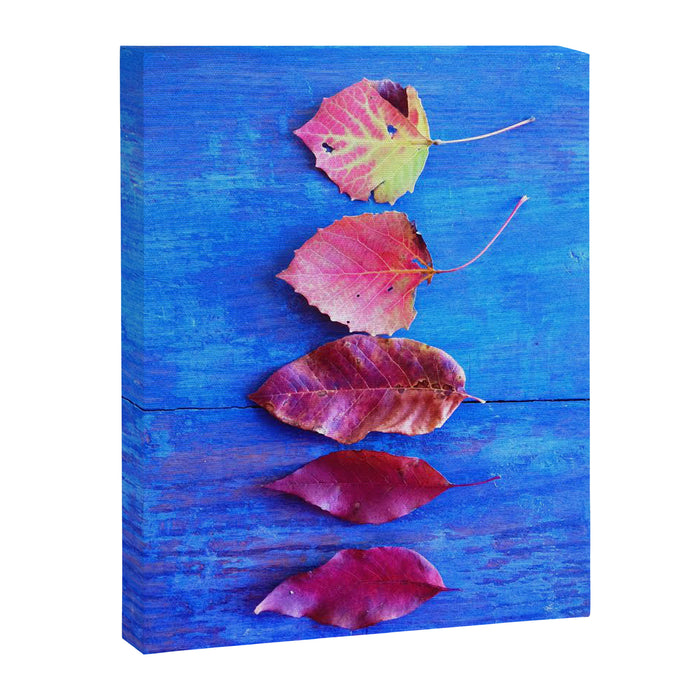 It's a Colorful World Canvas Print Gallery Image 1