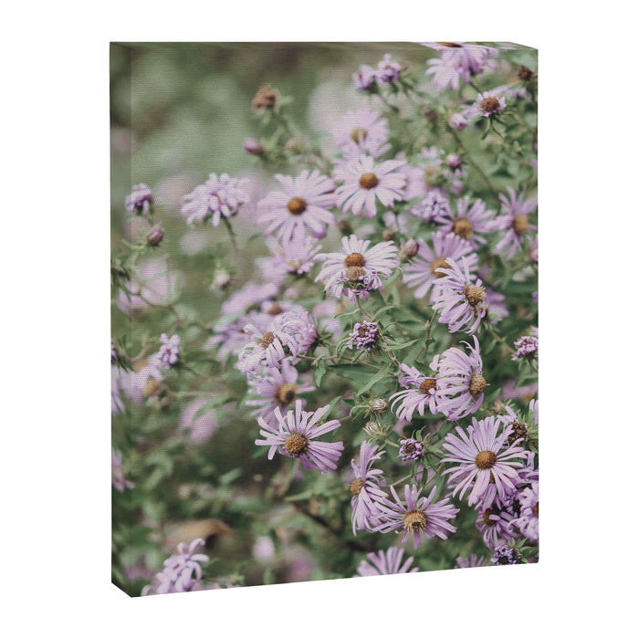 Joyful Little Flowers x purple modern botanical photograph Canvas Print Gallery Image 1