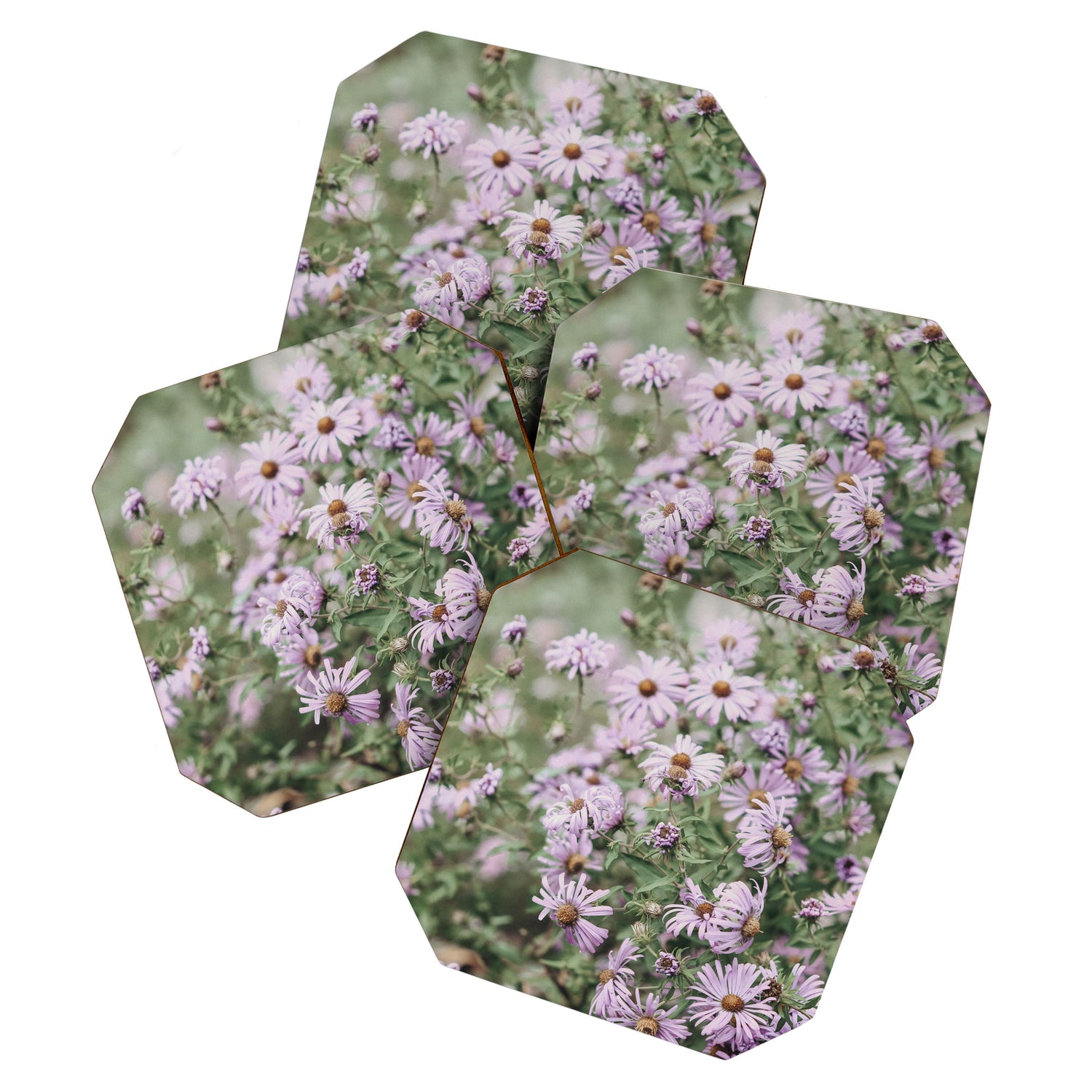 Joyful Little Flowers x purple modern botanical photograph Coaster Gallery Image 1