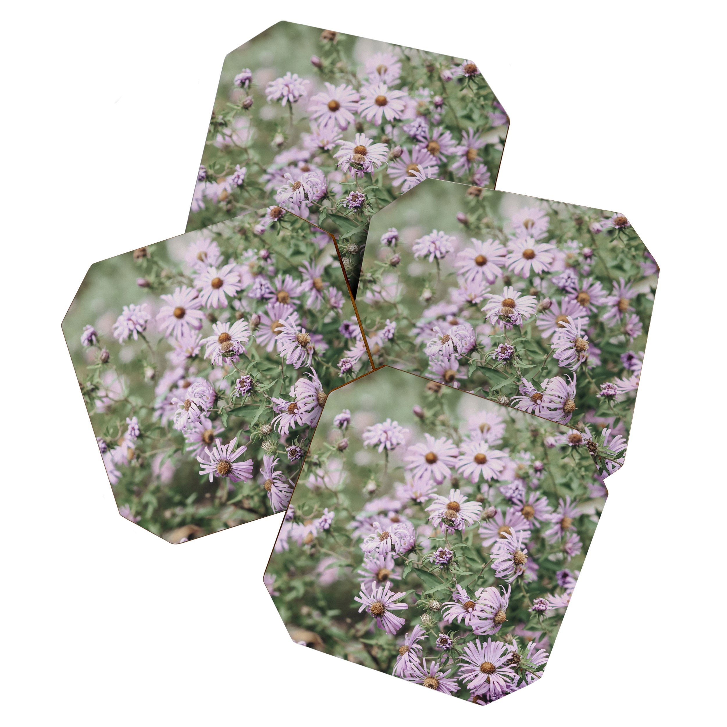 Joyful Little Flowers x purple modern botanical photograph Coaster Gallery Image 1