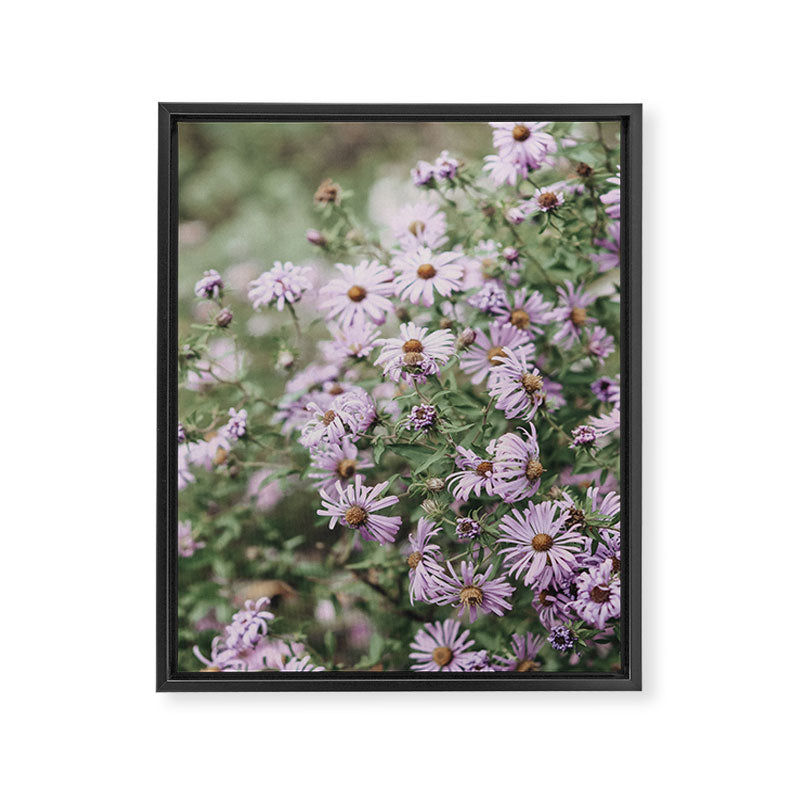 Joyful Little Flowers x purple modern botanical photograph Framed Canvas Print Gallery Image 6