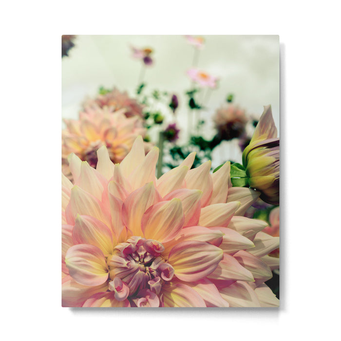 Joyful Noise - Modern Botanical Photograph Metal Print Gallery Image 1