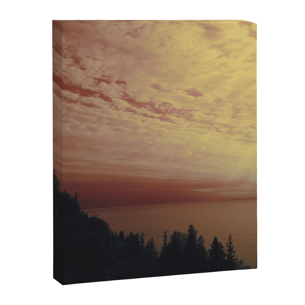 La Vie en rose Canvas Print Gallery Image 6