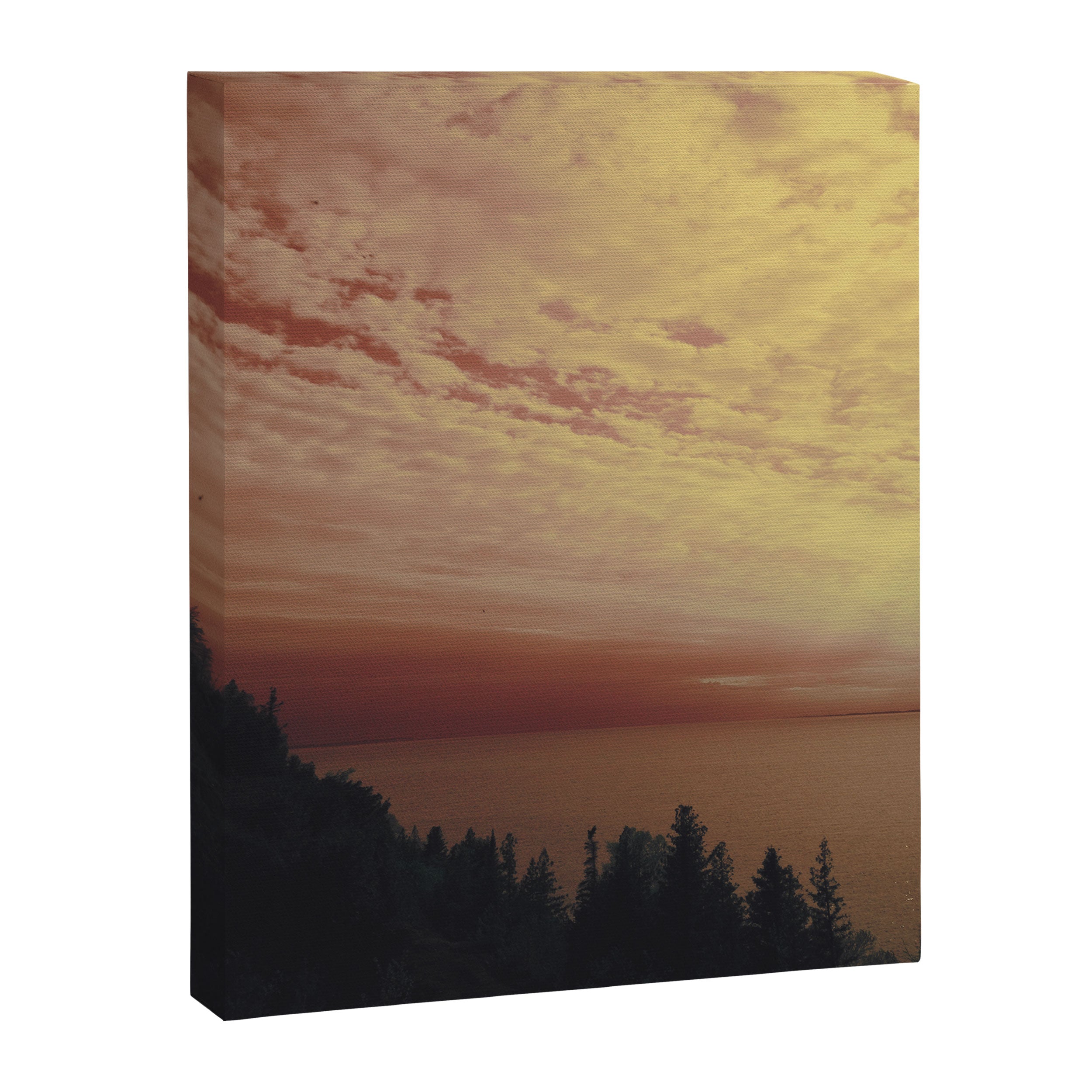 La Vie en rose Canvas Print Gallery Image 6