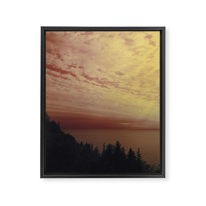 La Vie en rose Framed Canvas Print Gallery Image 1