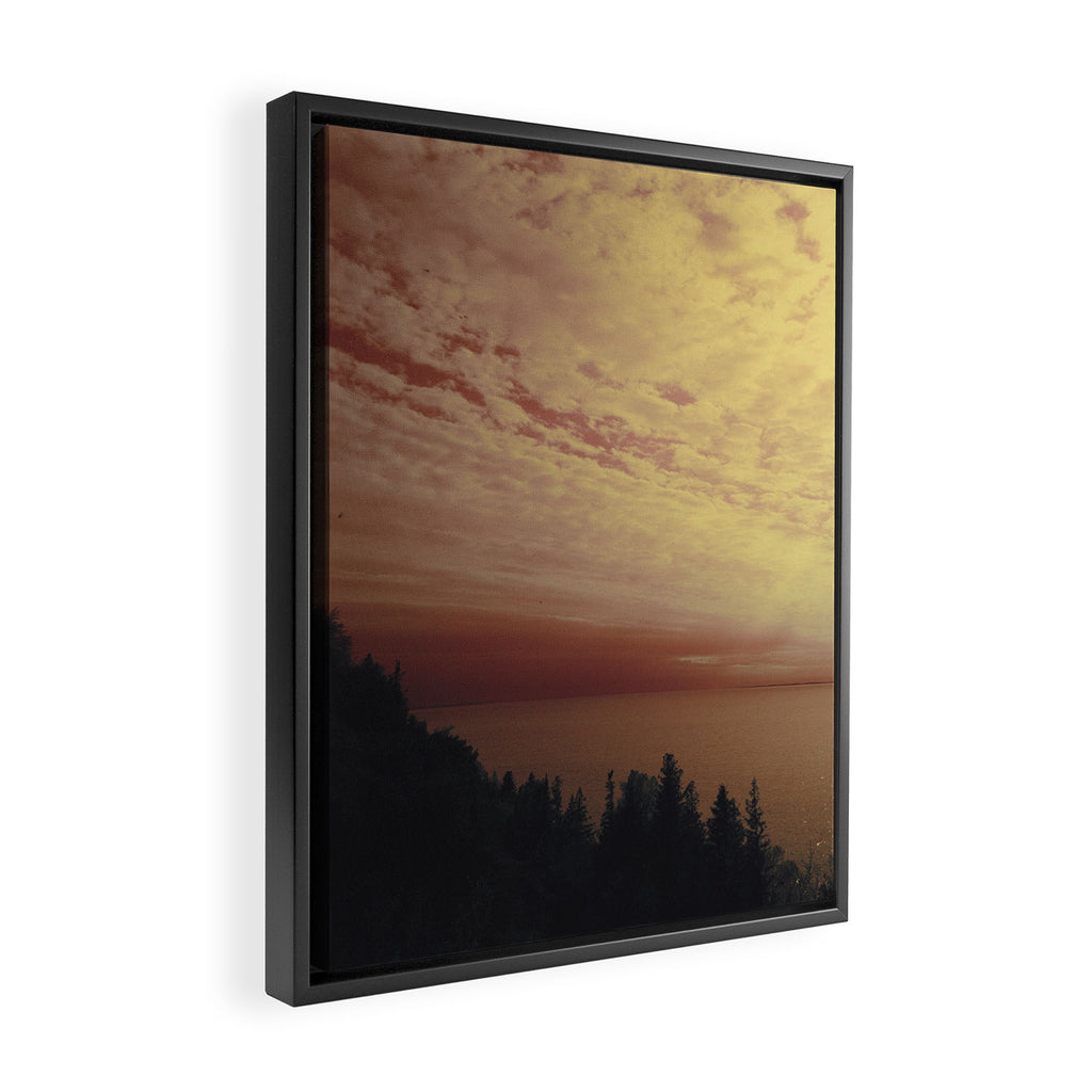 La Vie en rose Framed Canvas Print Gallery Image 2