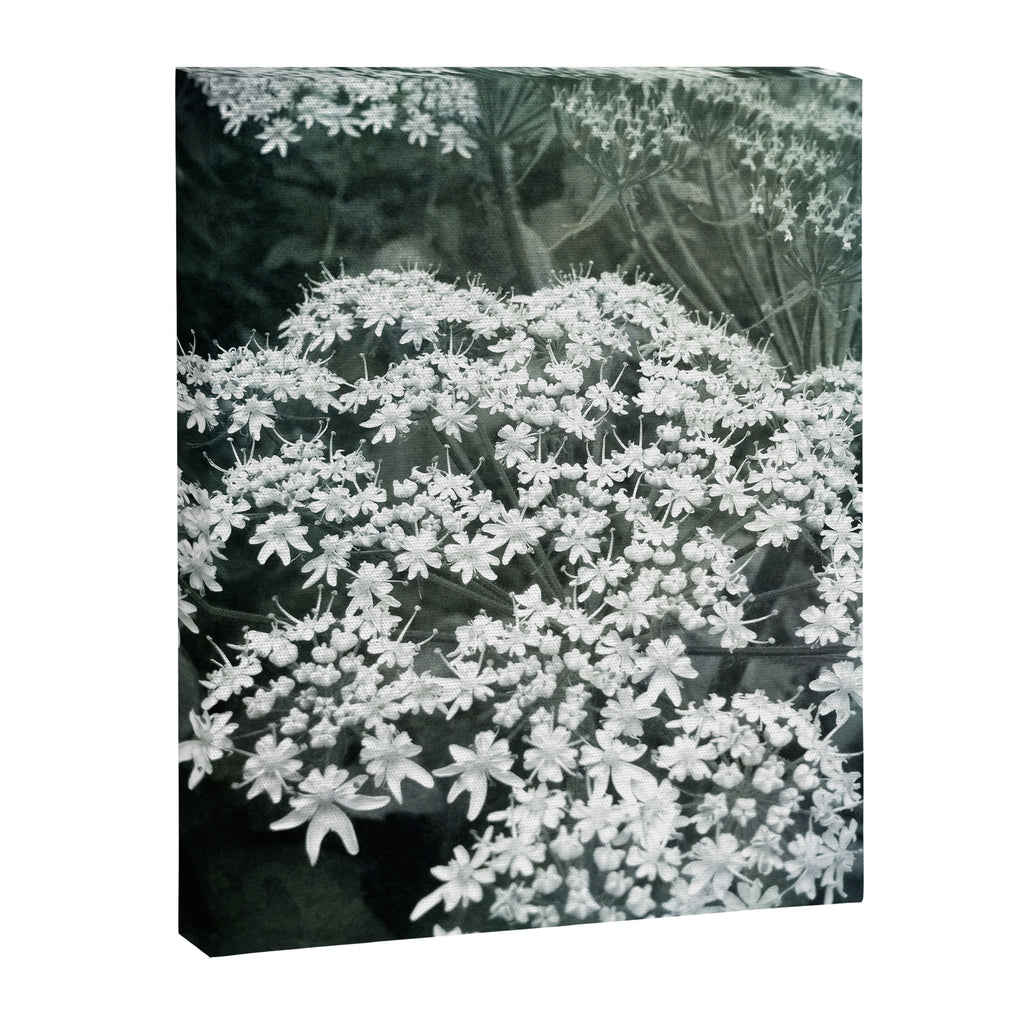 Lace Canvas Print Gallery Image 6