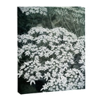 Lace Canvas Print Gallery Image 6