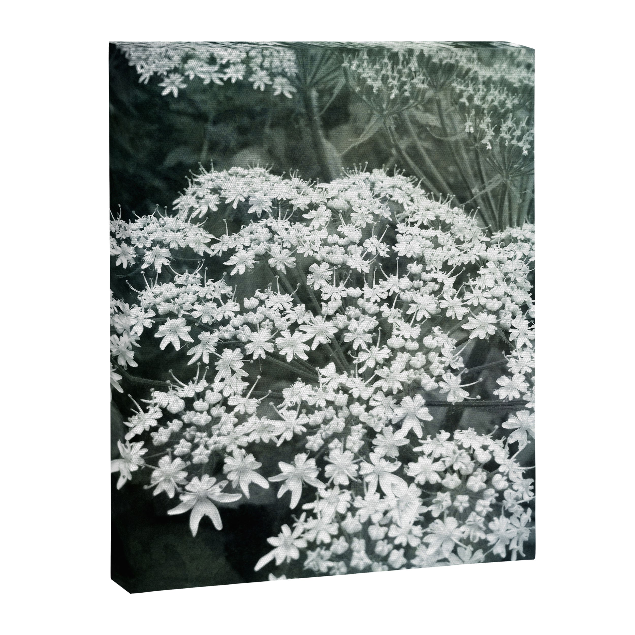Lace Canvas Print Gallery Image 6