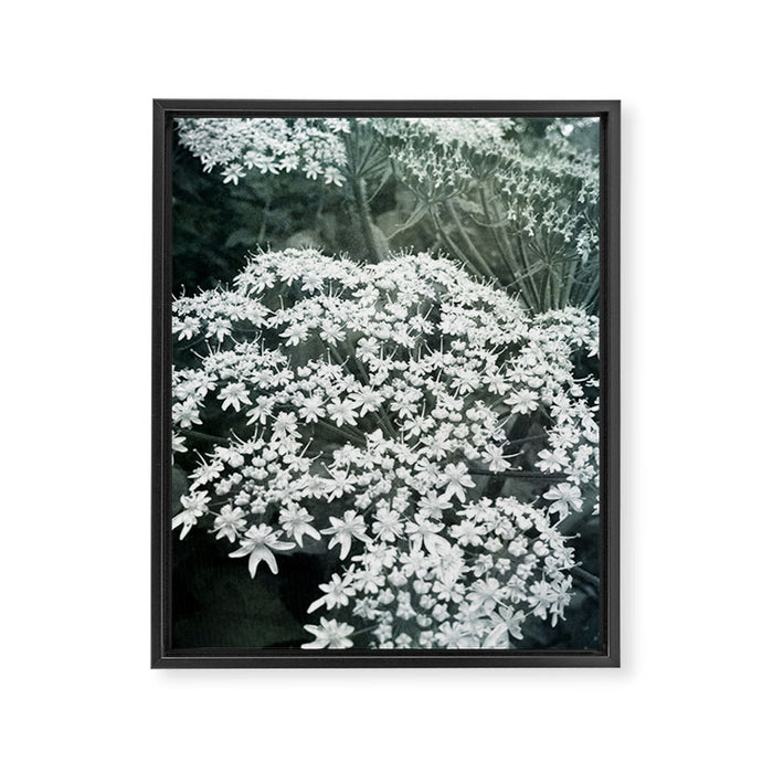 Lace Framed Canvas Print Gallery Image 1