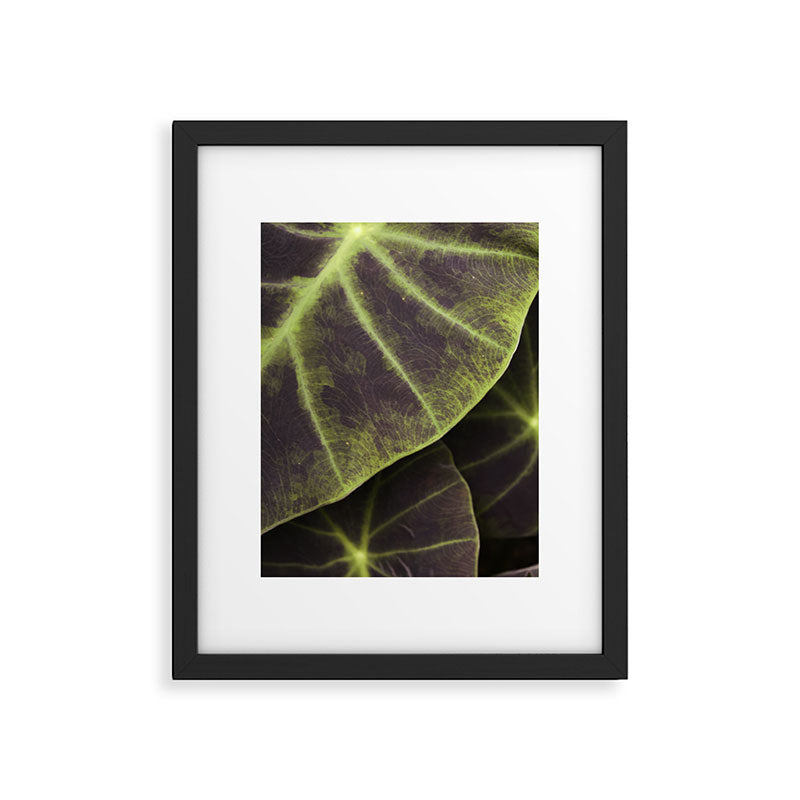 Leaf Line Art Elephant Ear Study Framed Art Print Gallery Image 5