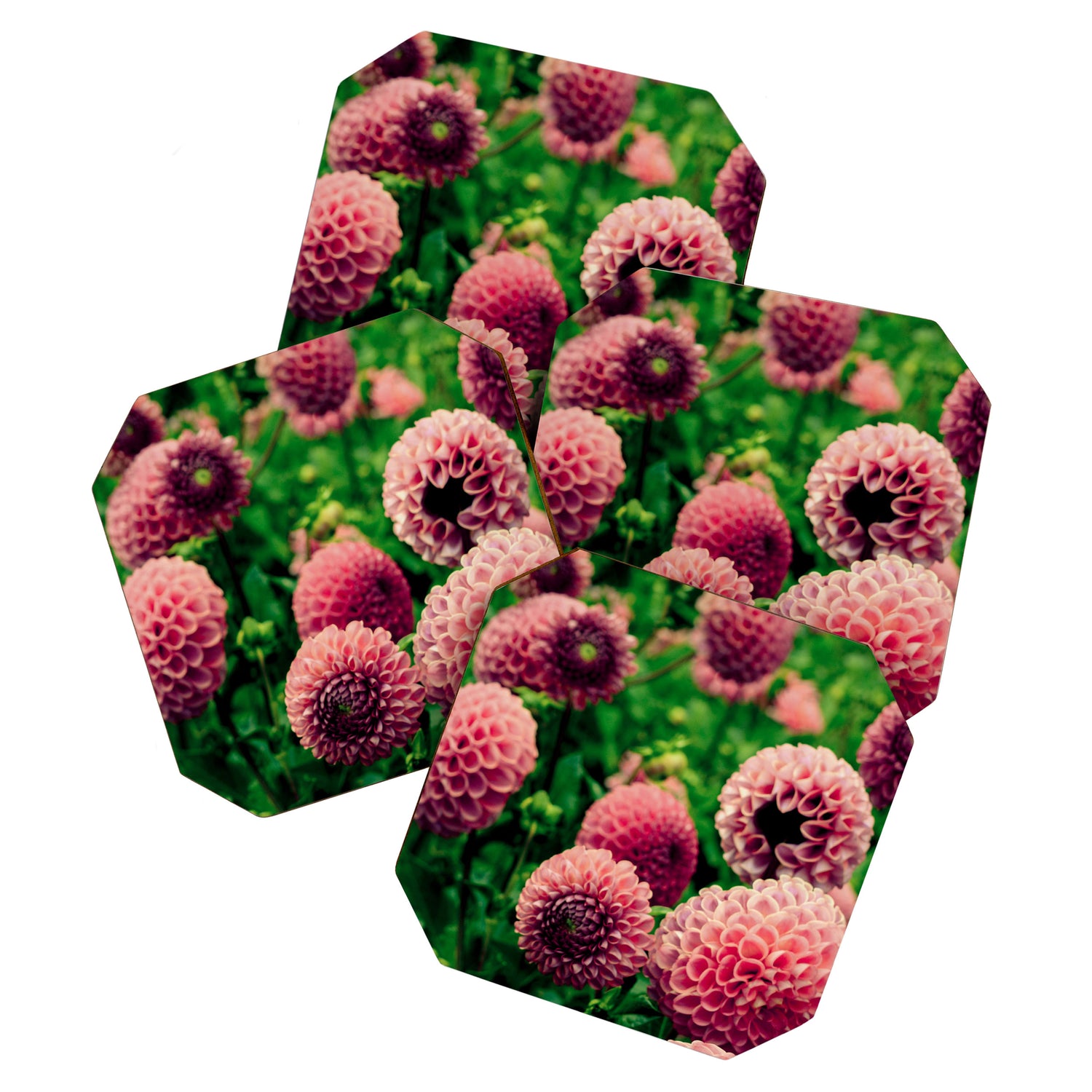 Let Yourself Bloom - Modern Botanical Photograph Coaster Gallery Image 1