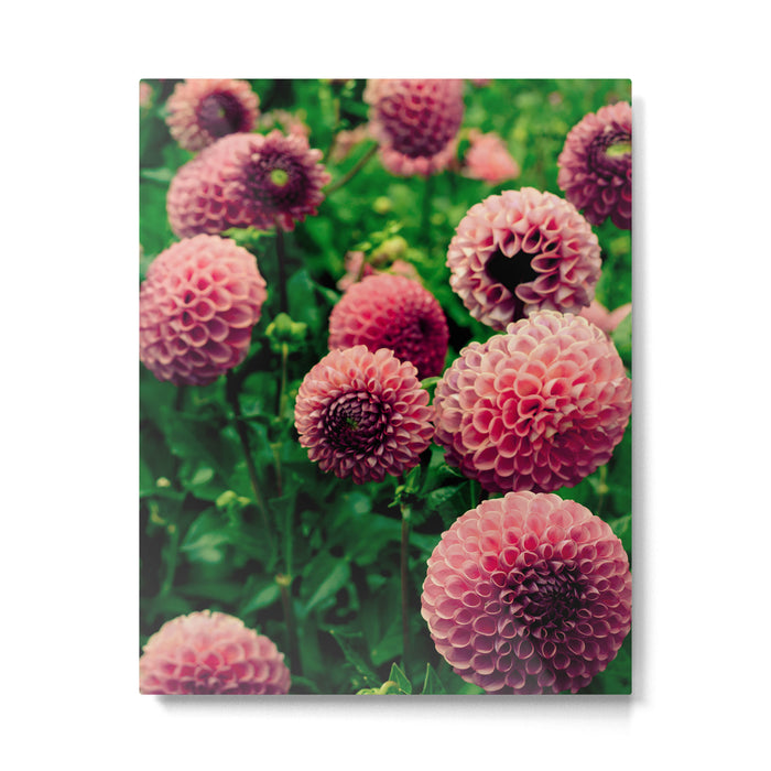 Let Yourself Bloom - Modern Botanical Photograph Metal Print Gallery Image 1