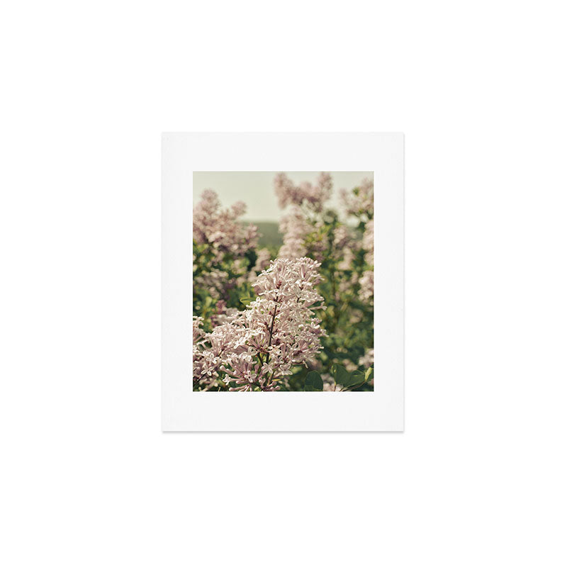 Lilac Flowers Botanical Photograph Art Print Gallery Image 1