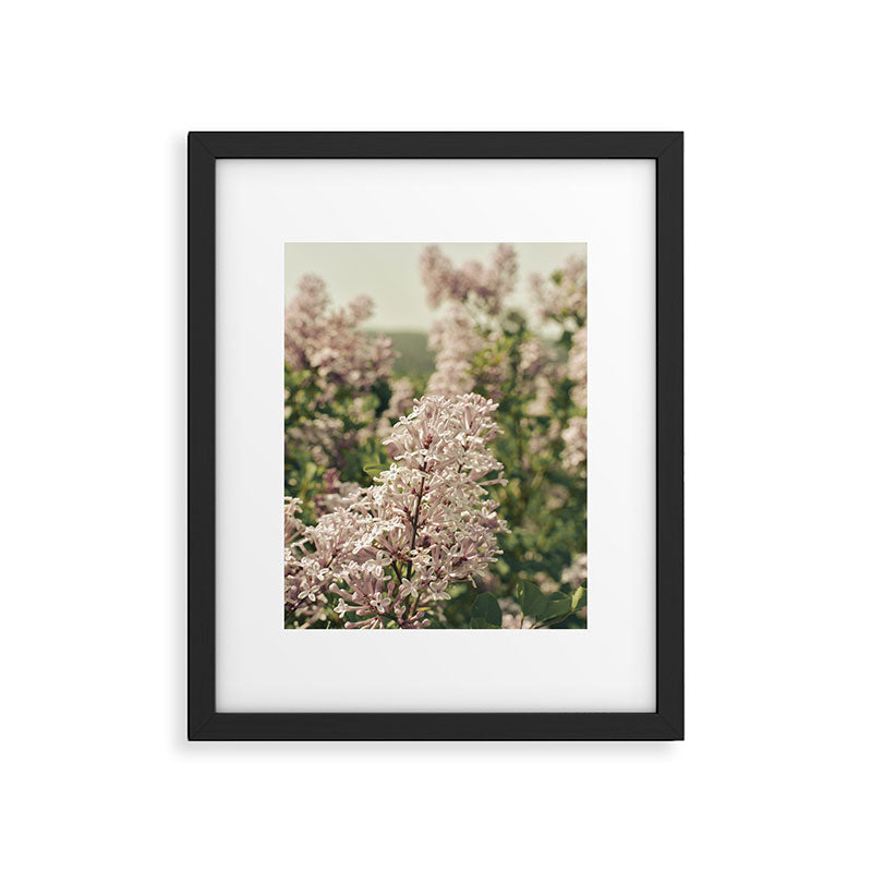Lilac Flowers Botanical Photograph Framed Art Print Gallery Image 5