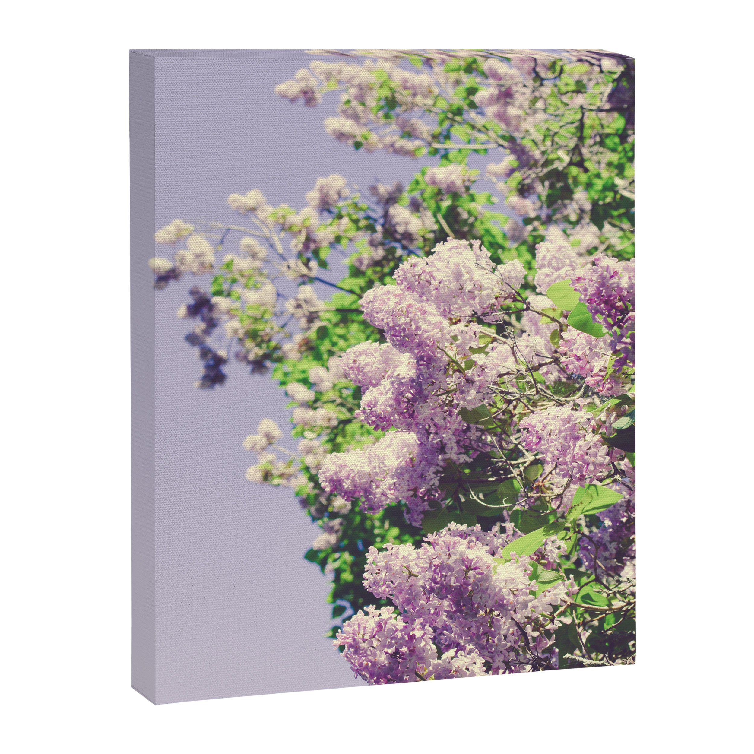 Lilac Flowers Canvas Print Gallery Image 6