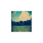 Lily Pads Art Print Gallery Image 1