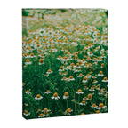 Little White Flowers in a Garden Canvas Print Gallery Image 6