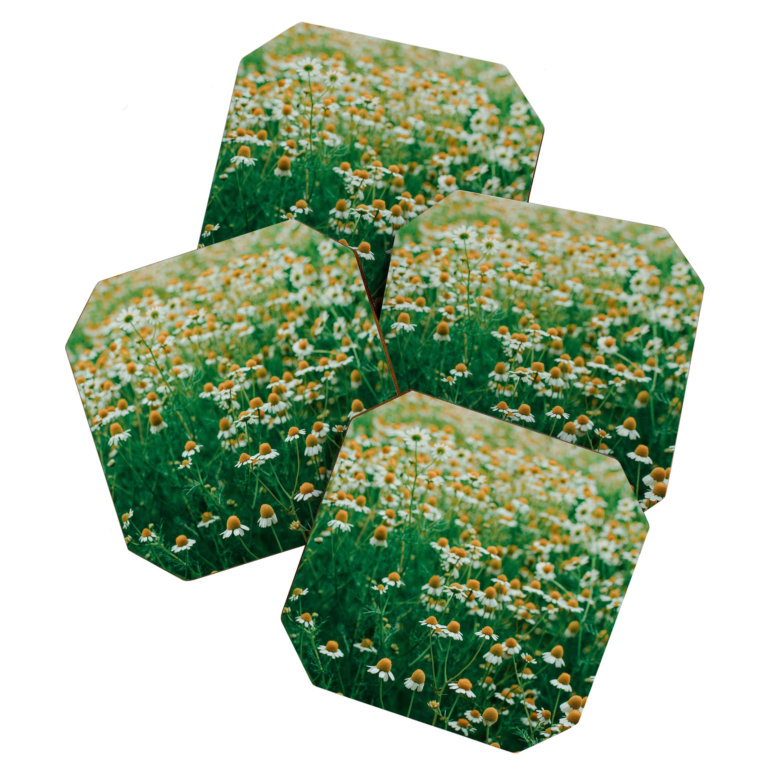 Little White Flowers in a Garden Coaster Gallery Image 1