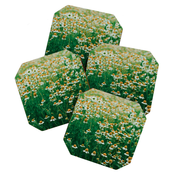 Little White Flowers in a Garden Coaster Gallery Image 1