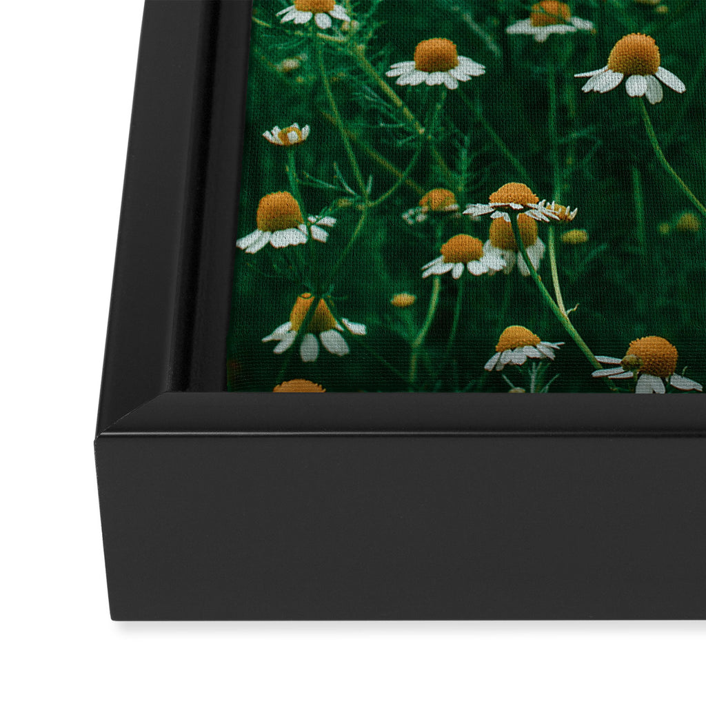 Little White Flowers in a Garden Framed Canvas Print Gallery Image 3