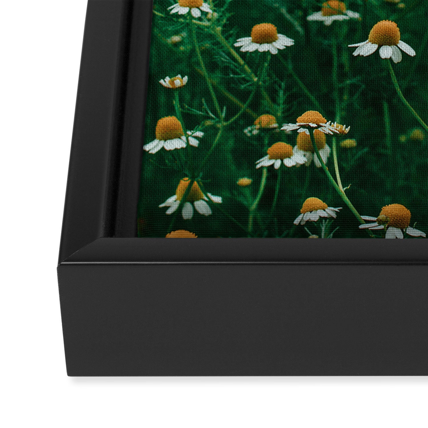 Little White Flowers in a Garden Framed Canvas Print Gallery Image 3