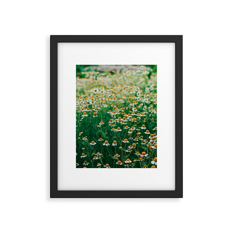 Little White Flowers in a Garden Framed Art Print Gallery Image 5