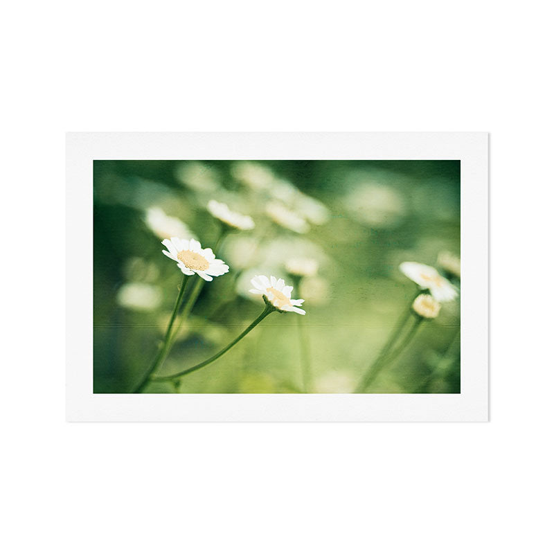 Looking Inward Art Print Gallery Image 1