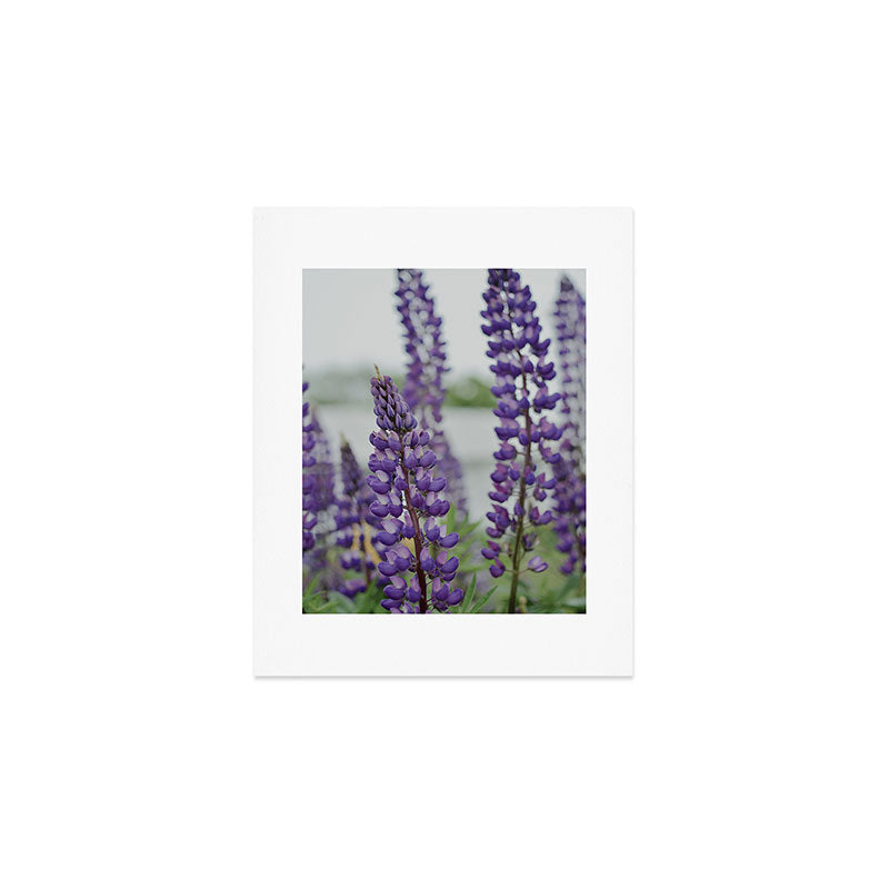 Lupine Field Art Print Gallery Image 1