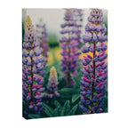 Lupine - spring flower nature photograph Canvas Print Gallery Image 6