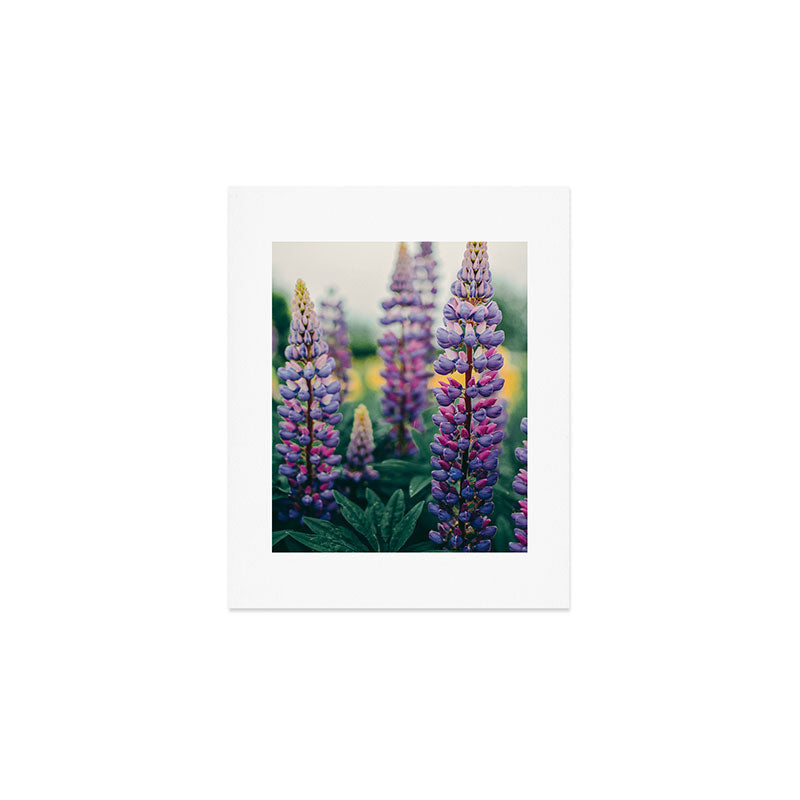 Lupine - spring flower nature photograph Art Print Gallery Image 1