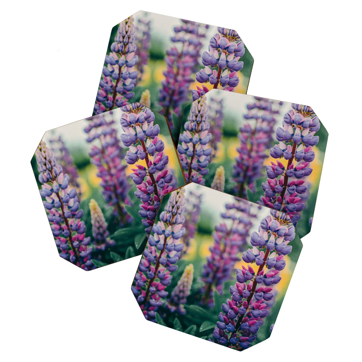 Lupine - spring flower nature photograph Coaster Gallery Image 1