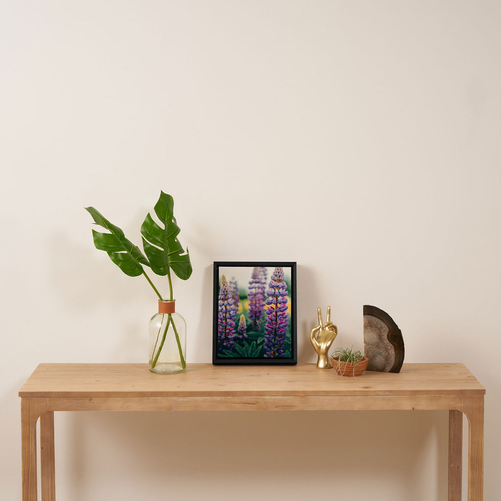 Lupine - spring flower nature photograph Framed Canvas Print Gallery Image 4