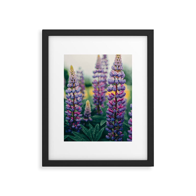 Lupine - spring flower nature photograph Framed Art Print Gallery Image 5