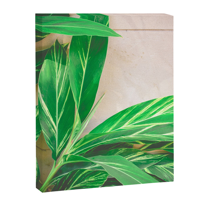 Lush Canvas Print Gallery Image 1