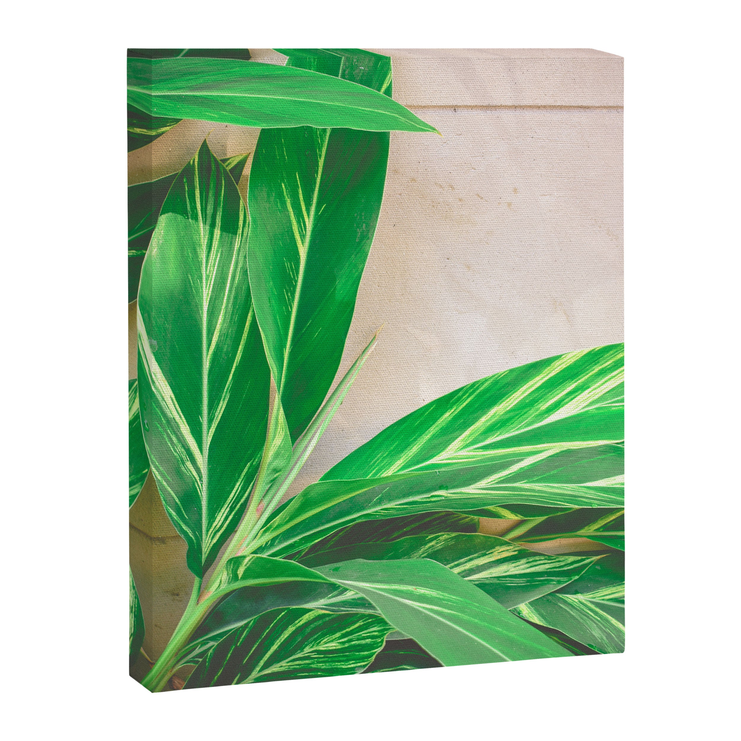 Lush Canvas Print Gallery Image 6
