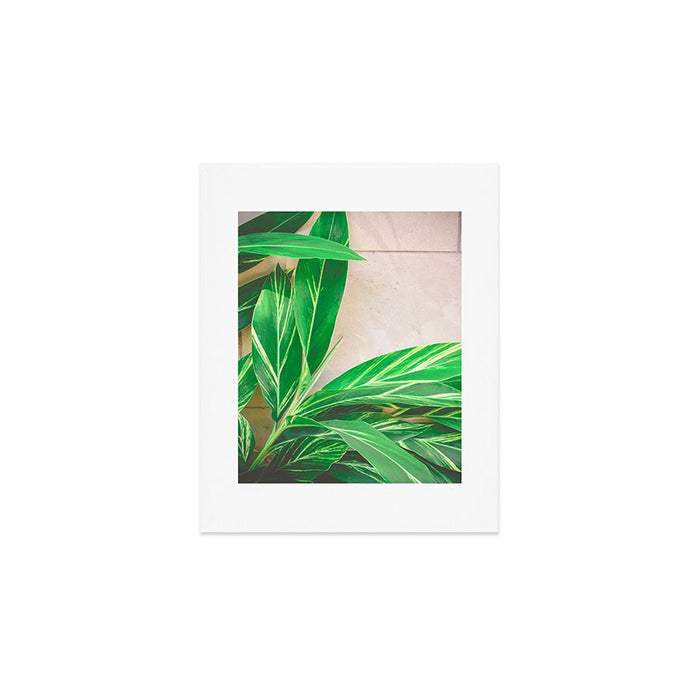 Lush Art Print Gallery Image 1