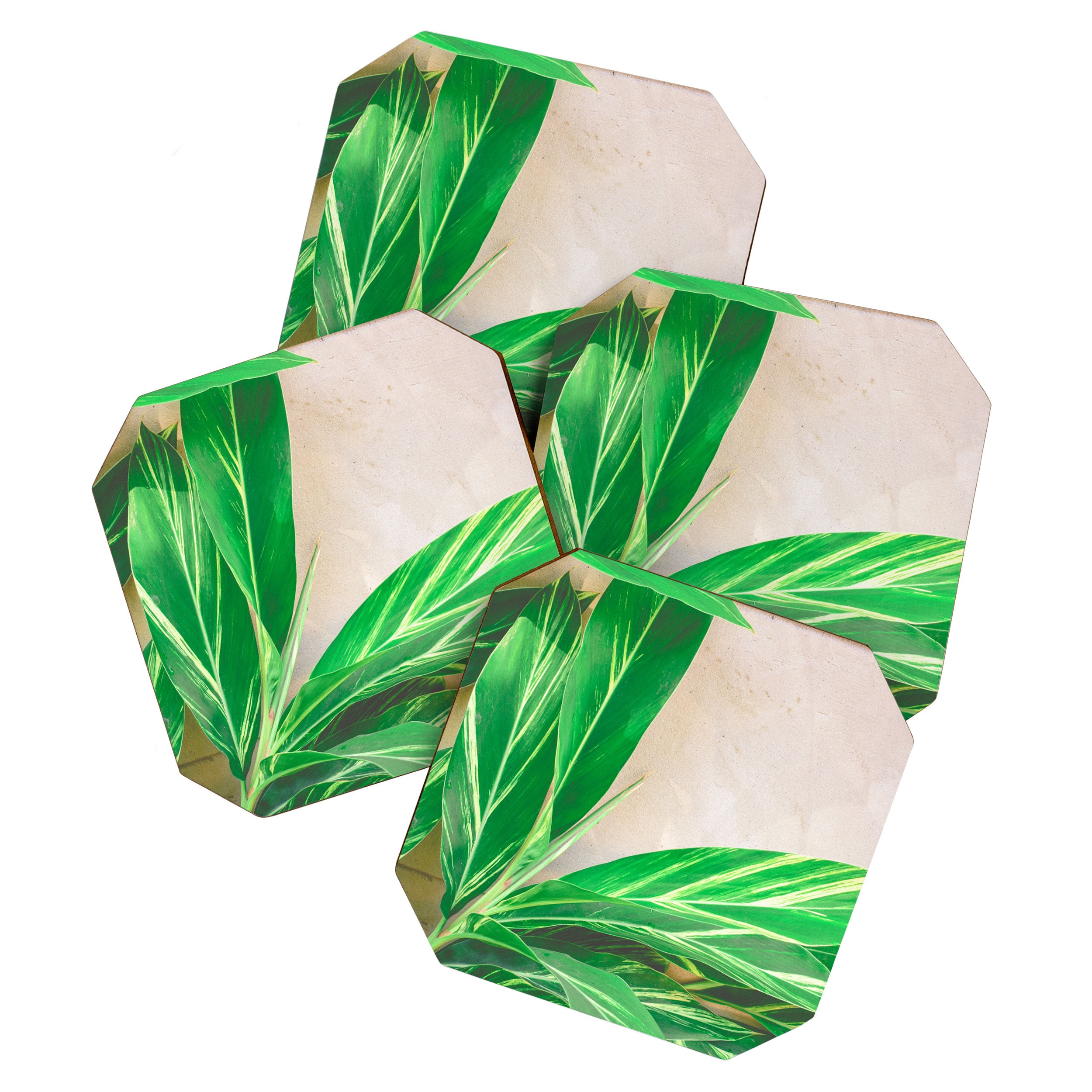 Lush Coaster Gallery Image 1