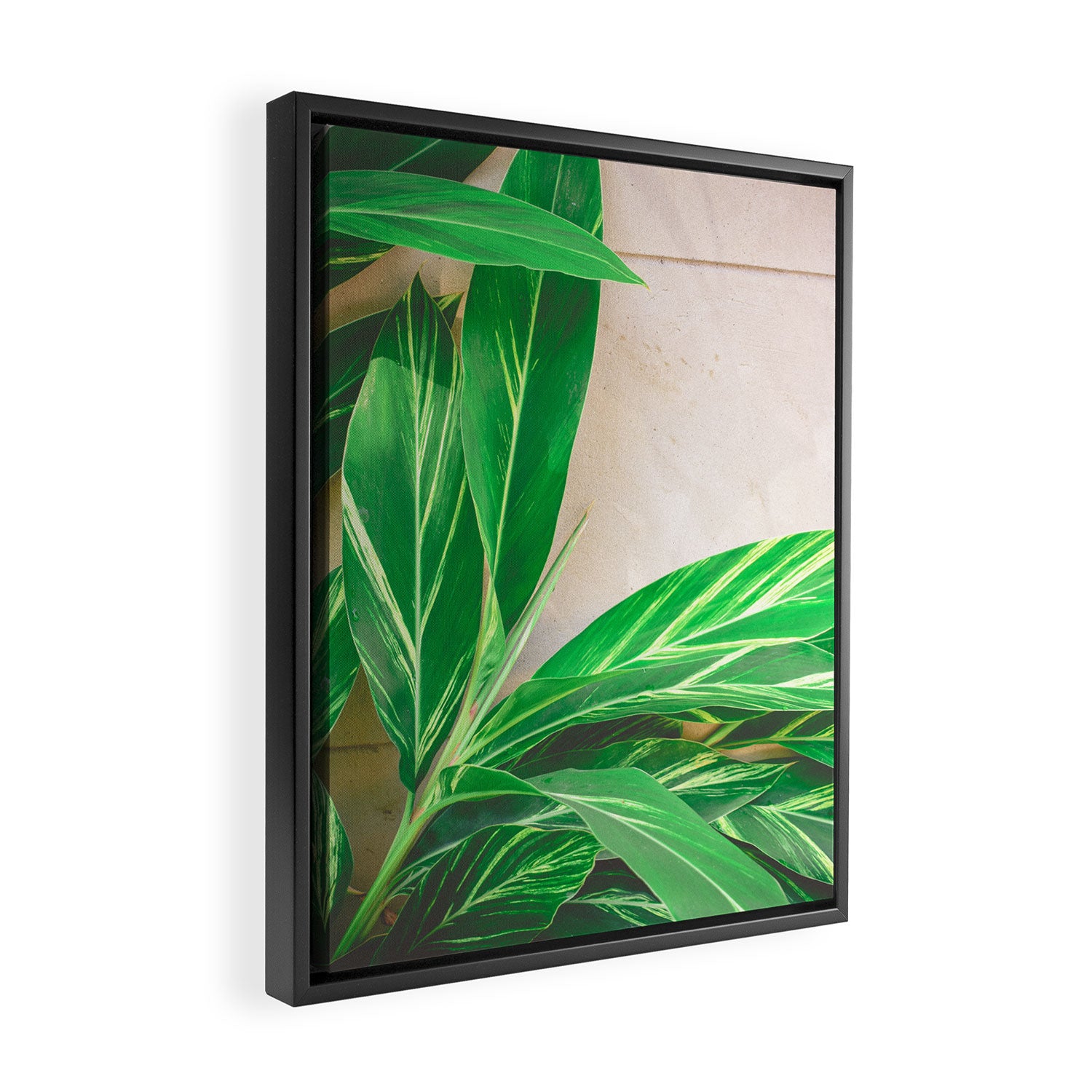 Lush Framed Canvas Print Gallery Image 2