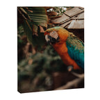 Macaw Canvas Print Gallery Image 6