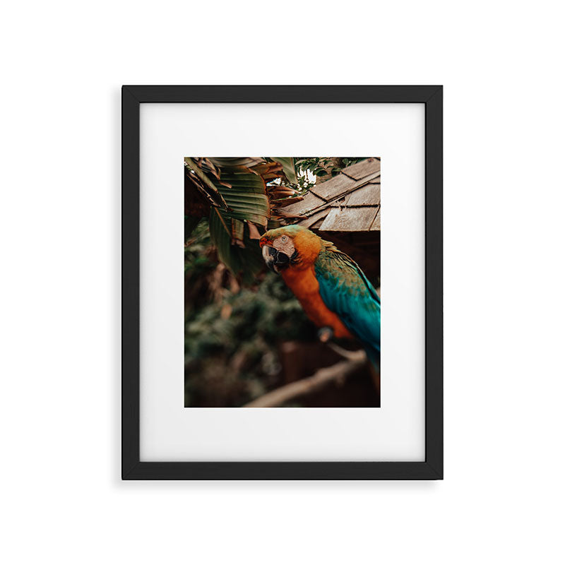 Macaw Framed Art Print Gallery Image 1