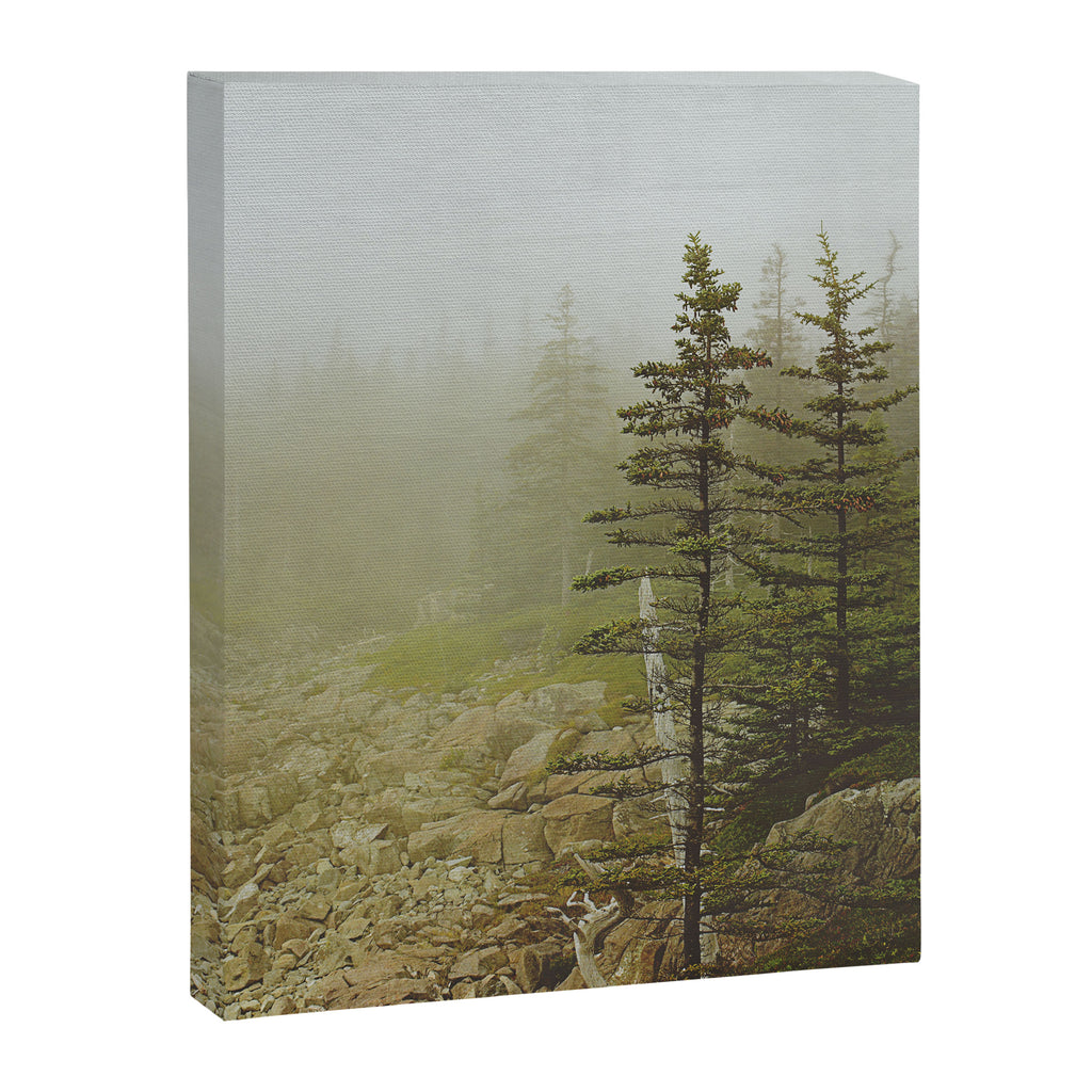 Maine Coast Landscape - Travel photography nature landscape moody decor Canvas Print Gallery Image 6